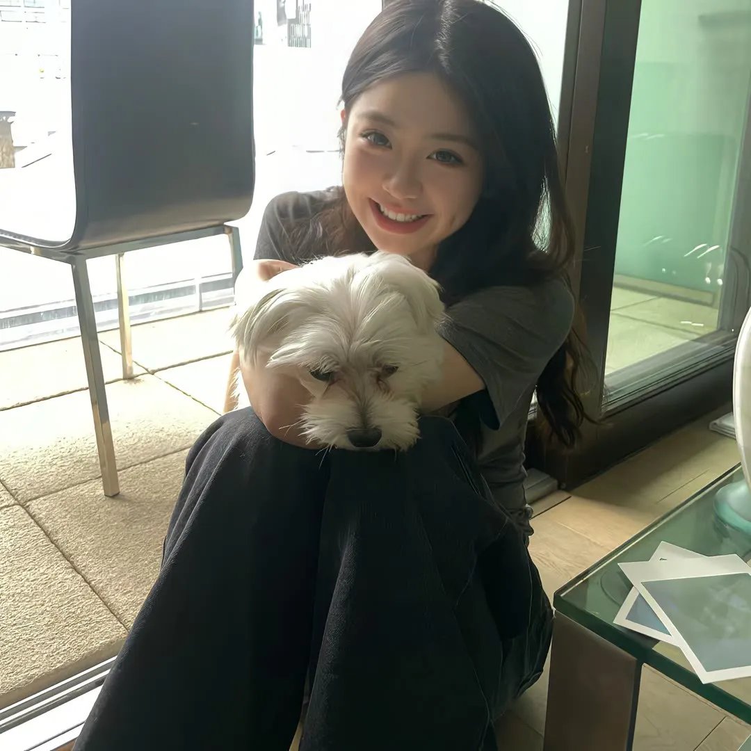 狐狸猎手