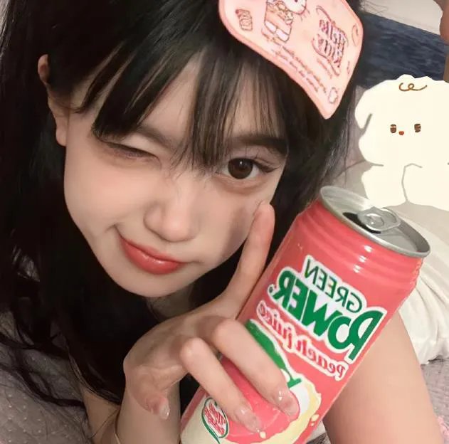 二八佳人花公子续集